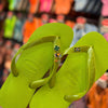 Havaianas Top + Pingente Trevo, Tucano, Coqueiro e Brasil