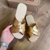 Havaianas Rasteirinha Aqua Metallic + Placa Logo + Pin Estrela e Tartaruga