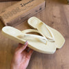 Chinelo De Dedo Ipanema Pluma 27507