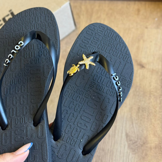 Chinelo Colcci Rio 158.01.00901 + Pin Estrela Do mar e Tartaruga Grátis