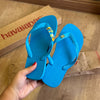 Havaianas Top + Pins Brasil, Tucano, Coqueiro, Aguá de Coco e Sol
