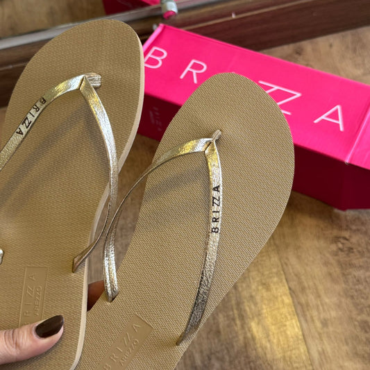 Chinelo de Dedo Arezzo Tira Metalizada A121720001