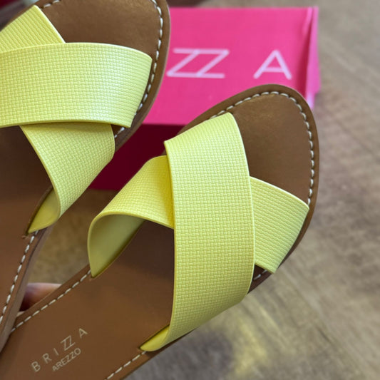 Sandália Brizza Flat Z190300006