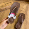 Chinelo De Dedo Ipanema Pluma 27507
