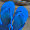 Havaianas Top Basic Masculino